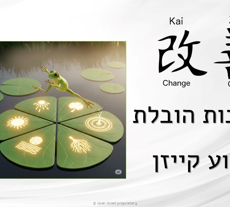 עקרונות להובלת אירוע קייזן